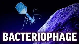 Thumbnail: The Deadliest Virus on Earth? - Science To Fall Asleep