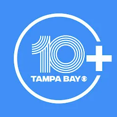 Avatar of 10 Tampa Bay News