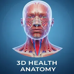 Avatar of 3D Teeth Health