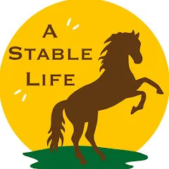Avatar of A Stable Life