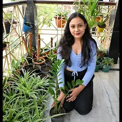 Avatar of Aastha's Little Jungle
