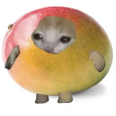 Avatar of Mango^^