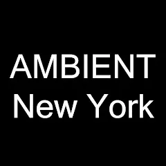 Avatar of Ambient New York — Matt Pierce