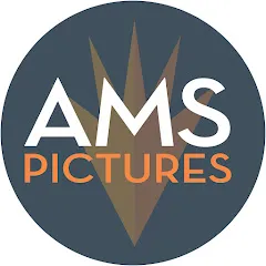 Avatar of AMS Pictures