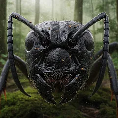 Avatar of ANTz