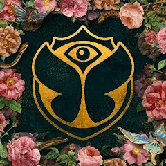 Avatar of A State Of Music