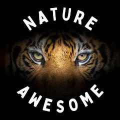 Avatar of Awesome Nature