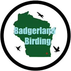Avatar of Badgerland Birding