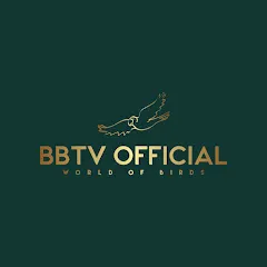 Avatar of BBTV Official