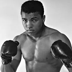Avatar of Below The Belt Boxing