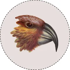 Avatar of The Kākā with Bernard Hickey