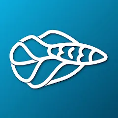 Avatar of Betta