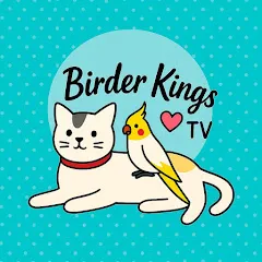 Avatar of Birder Kings TV