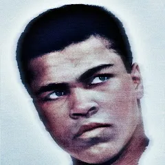 Avatar of BoxingsHero_
