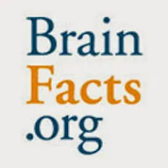 Avatar of BrainFacts.org