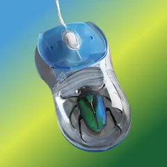 Avatar of BugMite