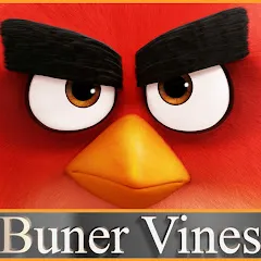 Avatar of Buner Vines
