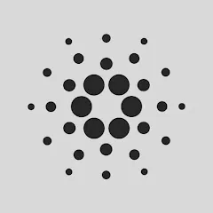 Avatar of Cardano Foundation