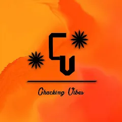 Avatar of Chacking Vibes