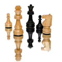 Avatar of Chess set