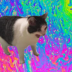 Avatar of Inkand