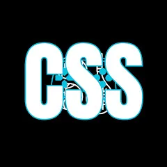 Avatar of Computer Sports Simulations