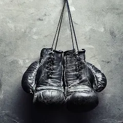 Avatar of Boxing Fights Collection