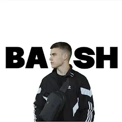 Avatar of BASH