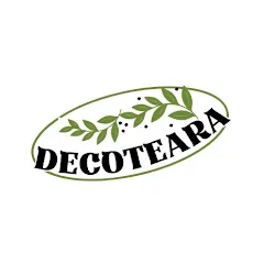 Avatar of Decoteara