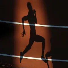 Avatar of Dees Athletics Archives