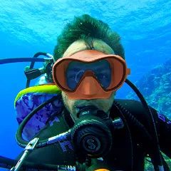Avatar of Dive Wise