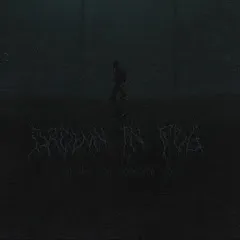 Avatar of drown in fog