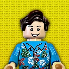 Avatar of D's Brick Lab
