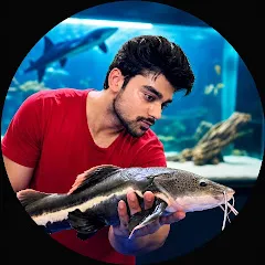 Avatar of Dynamic Aquatics