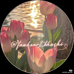Avatar of tulip 𐙚🌷!!