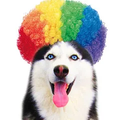 Avatar of Funny Sofia Show