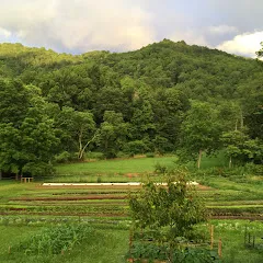 Avatar of Greenshine Farmers