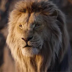 Avatar of Hopeful elect of YAHAWAH & YAHAWASHI