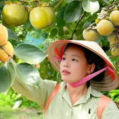 Avatar of Huong Mai Vlog