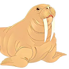Avatar of Hypothetical Walrus