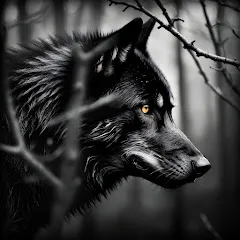Avatar of In The Woods