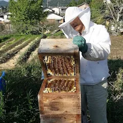 Avatar of Japanese natural beekeeping
