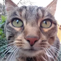 Avatar of JennyJenny