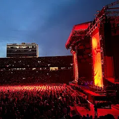 Avatar of K8 Concerts