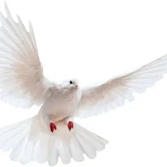 Avatar of King of Glory Ministries