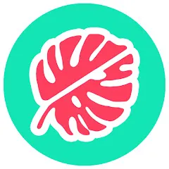 Avatar of Leaf