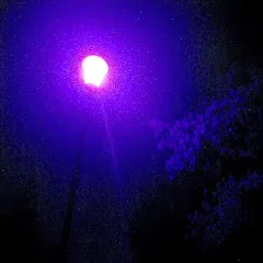 Avatar of Luna's Ambient hub