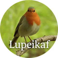 Avatar of Lupeikaf