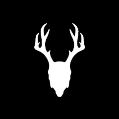 Avatar of Mad Rabbit