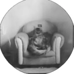Avatar of Major Dolby's Cat